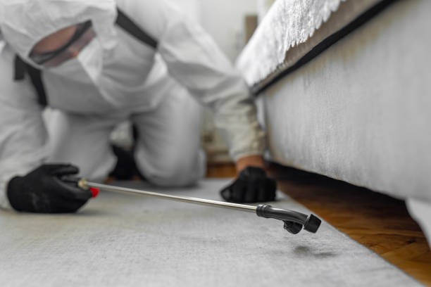 Professional Termite Control technician working in Waretown, NJ