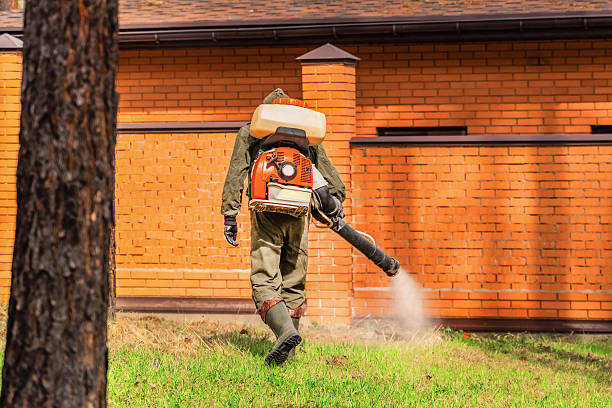 Trusted Termite Control service in Waretown, NJ - Nex Pest Control